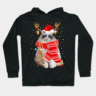 Ragdoll Cat Christmas Hoodie